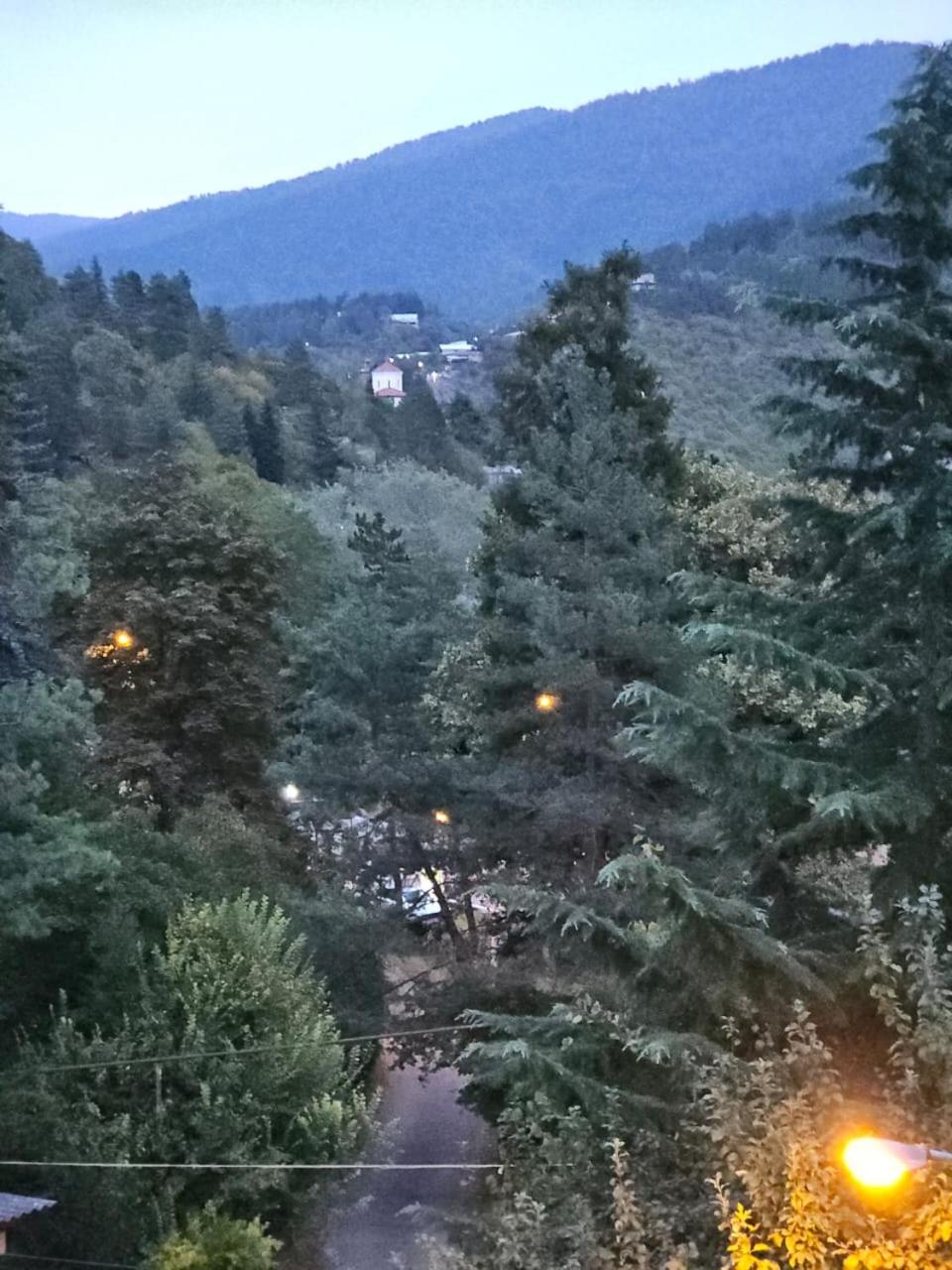 Guest House Likani 2017 Borzsomi Szoba fotó