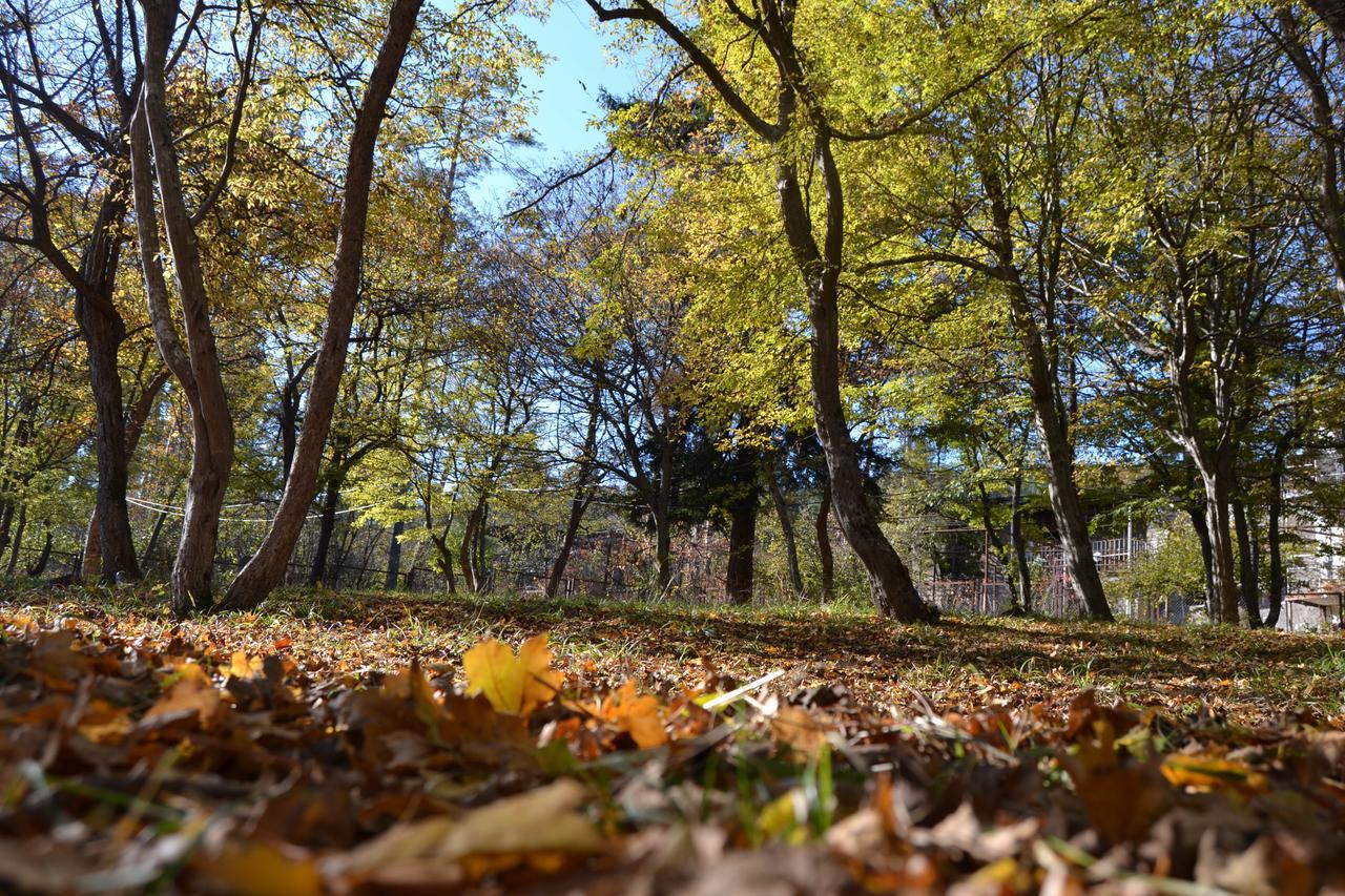 Guest House Likani 2017 Borzsomi Kültér fotó