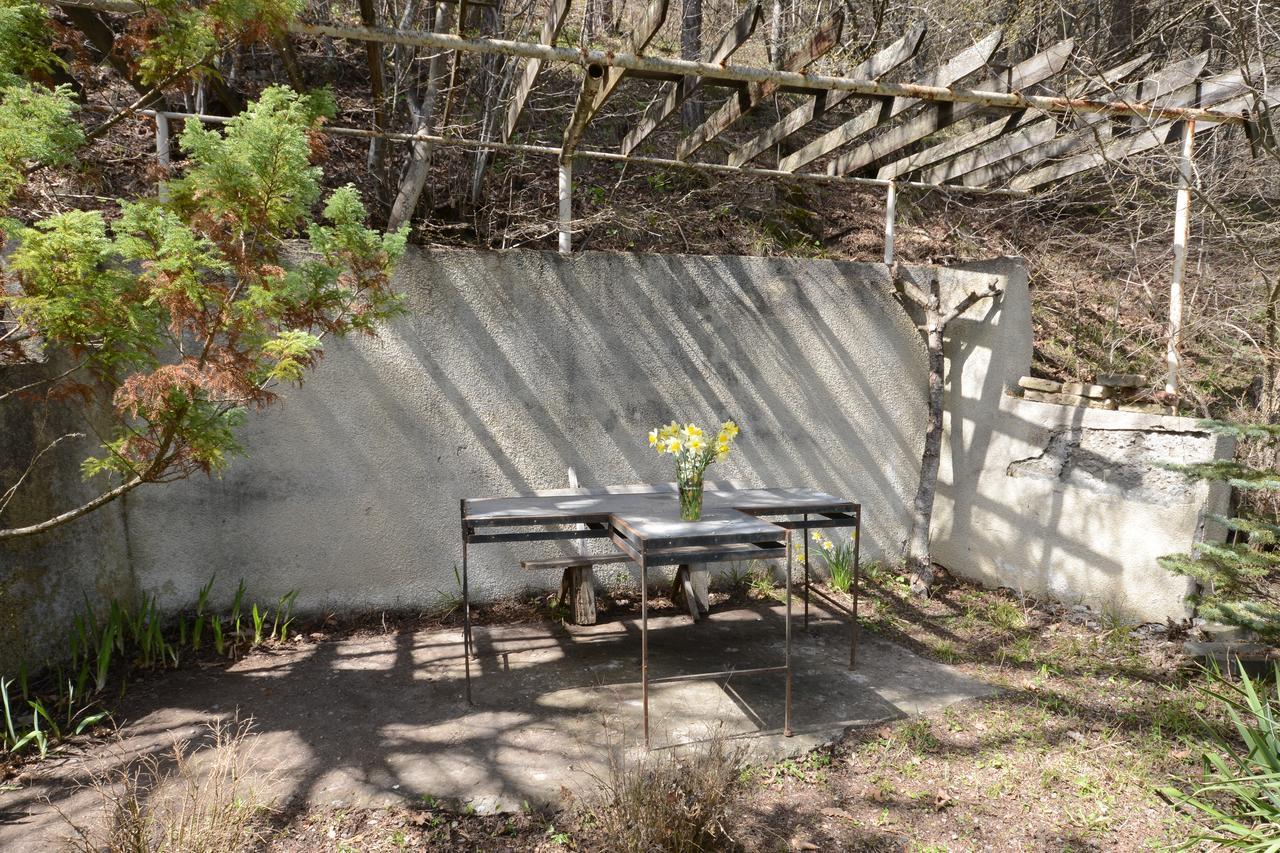 Guest House Likani 2017 Borzsomi Kültér fotó