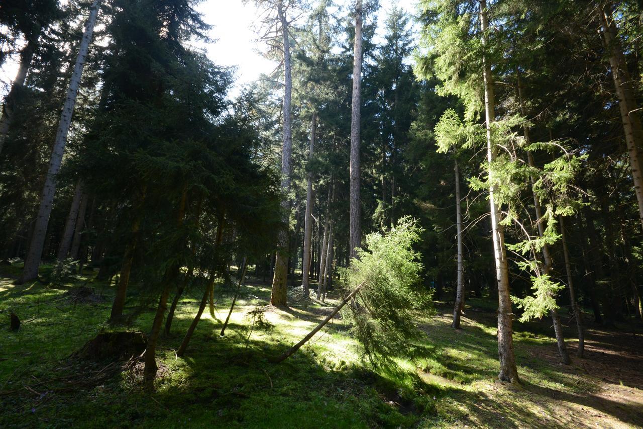 Guest House Likani 2017 Borzsomi Kültér fotó