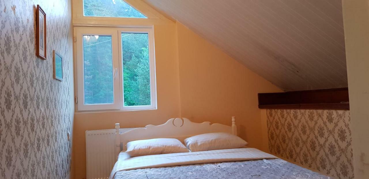 Guest House Likani 2017 Borzsomi Kültér fotó